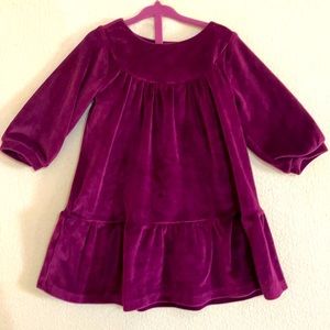 TEA COLLECTION VELVET DRESS